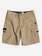 Rogue Surfwash 16" - Amphibian Board Shorts  EQBWS03319