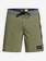 Highline Rave Arch 18" - Board Shorts  EQYBS04309