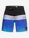 Highline Hold Down 18" - Board Shorts  EQYBS04321