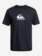 Solid Streak - Short Sleeve UPF 50 Surf T-Shirt for Men  EQYWR03313