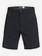 Rogue 19" - Amphibian Board Shorts  EQYWS03656
