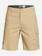 Rogue Surfwash 20" - Amphibian Board Shorts  EQYWS03657