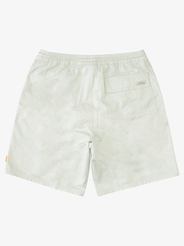 Waterman Deck Stripe 19" - Swim Shorts for Men  AQMJV03067