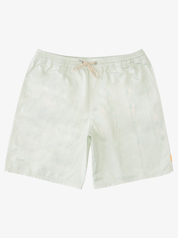 Waterman Deck Stripe 19" - Swim Shorts for Men  AQMJV03067