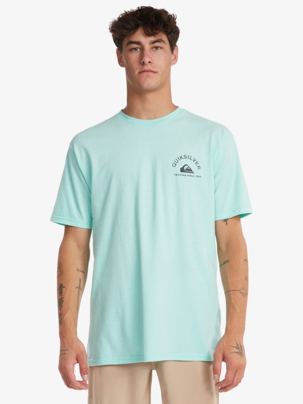 quiksilver waterman t shirt