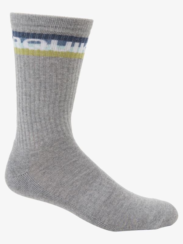 Swell - Crew Socks [2 Pack] for Men  AQYAA03304