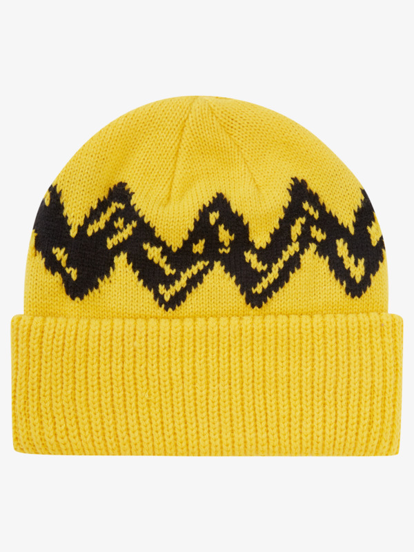 Peanuts Beanie for Men Quiksilver