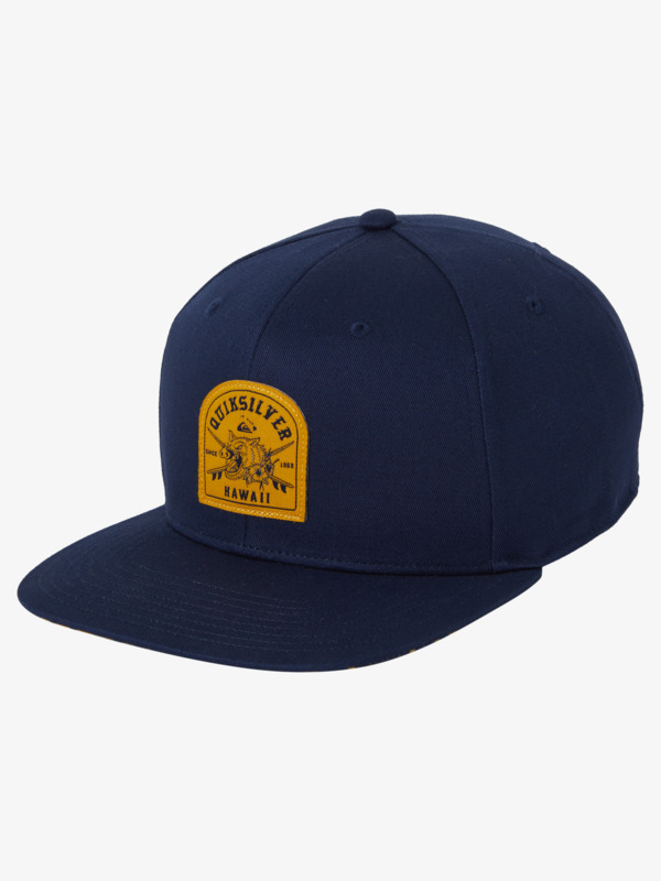 HI BOARFEST SNAPBACK  AQYHA05270
