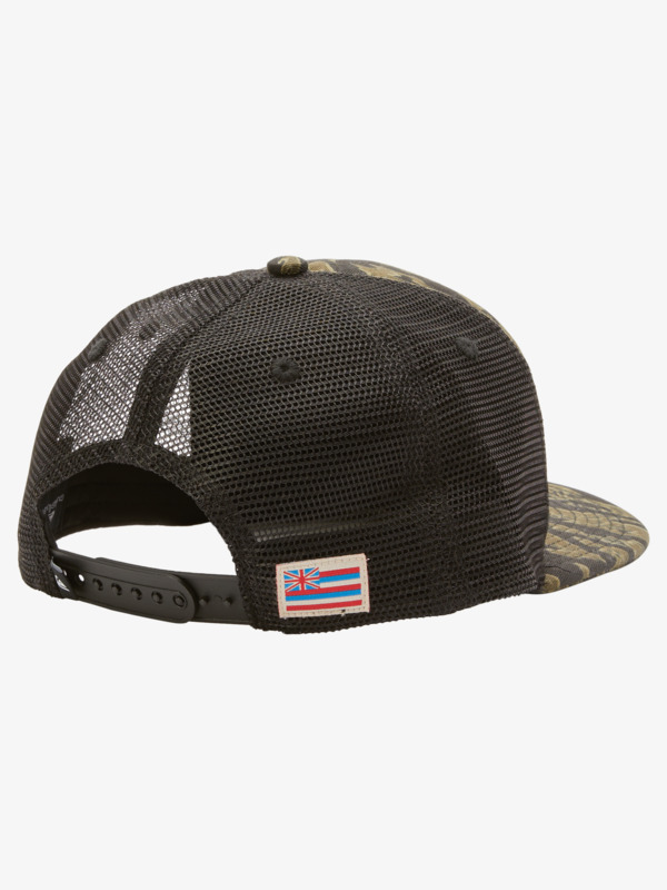 HI COUNTRY TRUCKER  AQYHA05296
