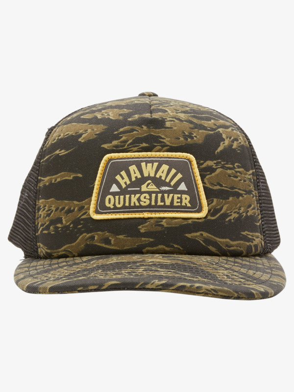 HI COUNTRY TRUCKER  AQYHA05296