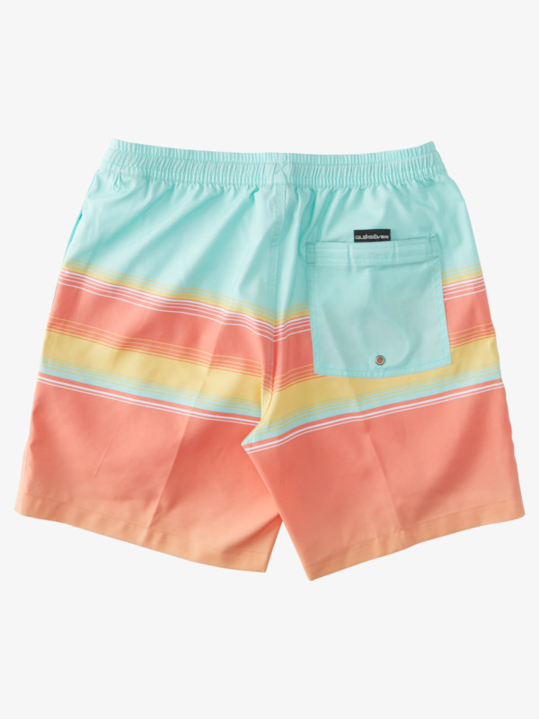 D Swell Vision 17" - Swim Shorts for Men  AQYJV03124