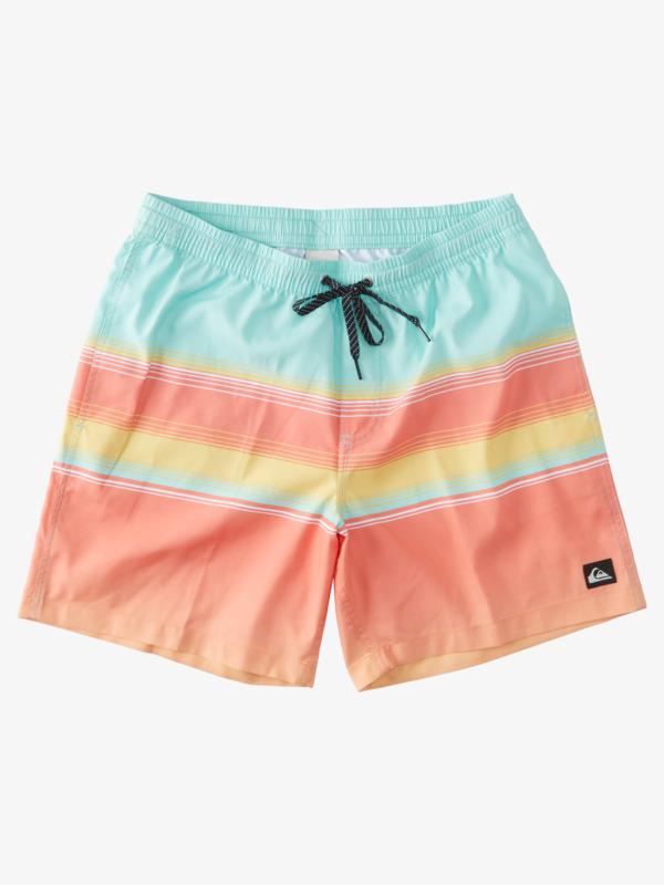 D Swell Vision 17" - Swim Shorts for Men  AQYJV03124
