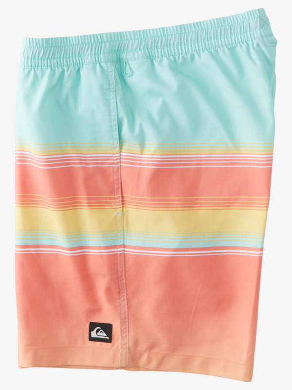 D Swell Vision 17" - Swim Shorts for Men  AQYJV03124