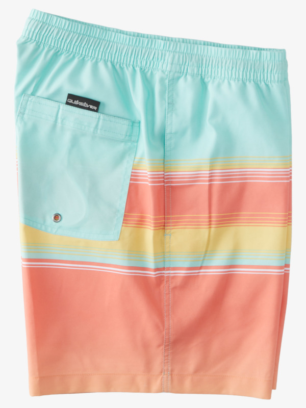 D Swell Vision 17" - Swim Shorts for Men  AQYJV03124