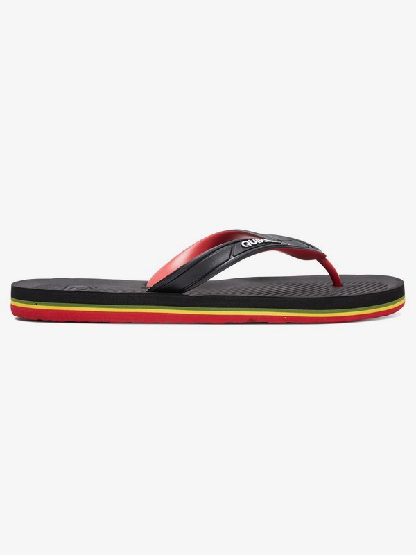 Haleiwa - Flip-Flops for Men  AQYL100627