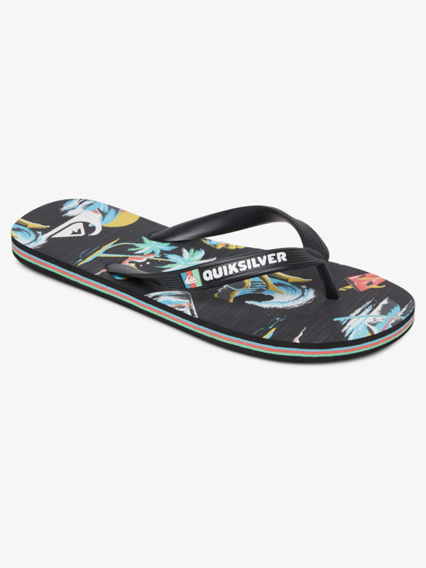 Molokai Sun Damage - Flip-Flops for Men  AQYL101127