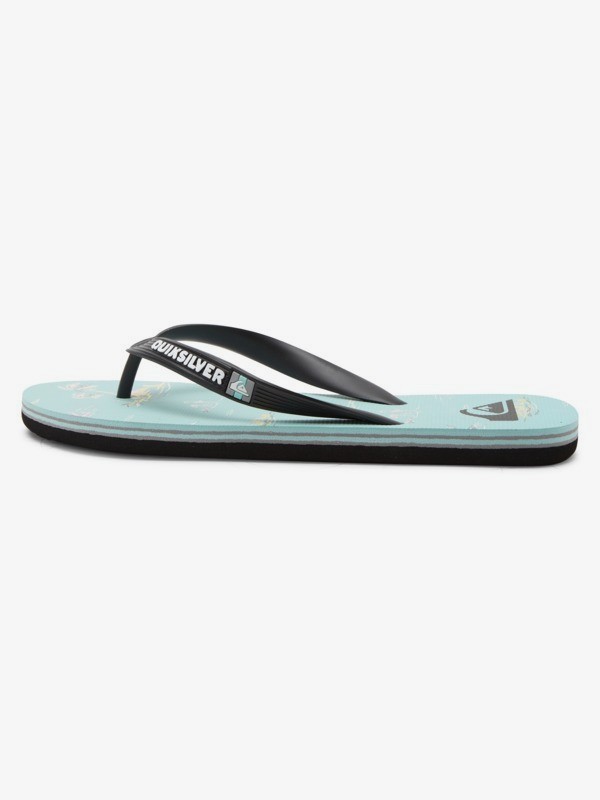 Molokai Island Breeze - Flip-Flops for Men  AQYL101203