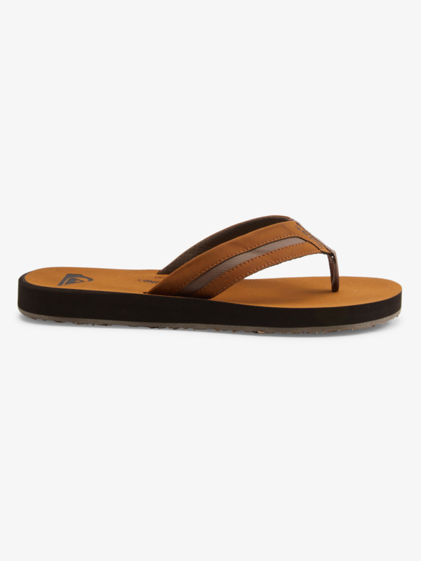 CARVER SQUISH LUXE  AQYL101207