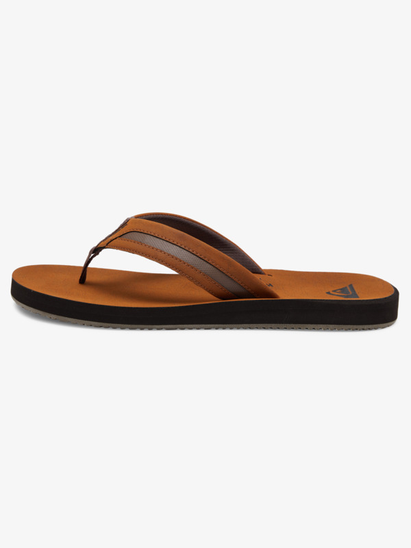 CARVER SQUISH LUXE  AQYL101207