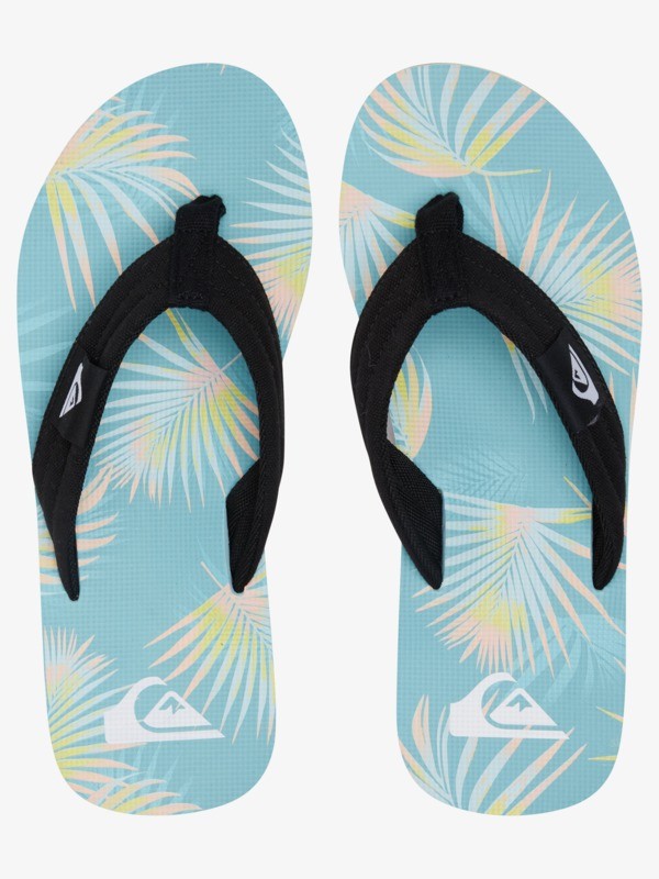 Molokai Layback - Flip-Flops for Men  AQYL101241