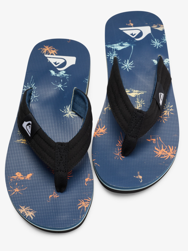 Molokai Layback - Flip-Flops for Men  AQYL101241