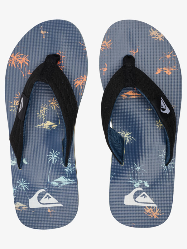 Molokai Layback - Flip-Flops for Men  AQYL101241