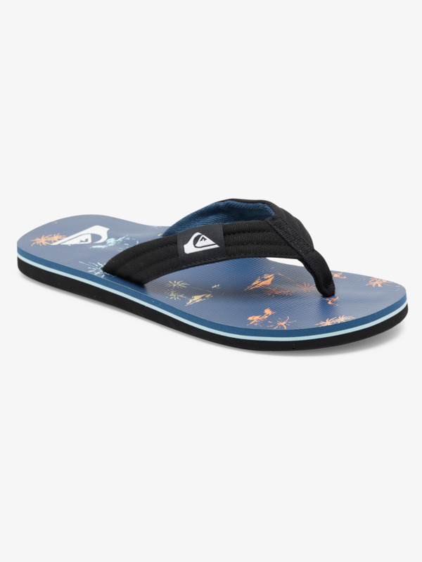 Molokai Layback - Flip-Flops for Men  AQYL101241