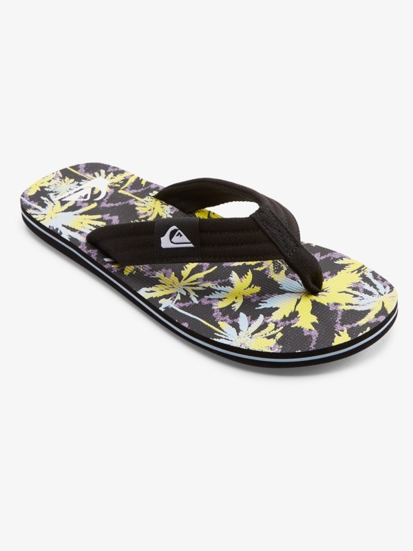 Molokai Layback - Flip-Flops for Men  AQYL101241