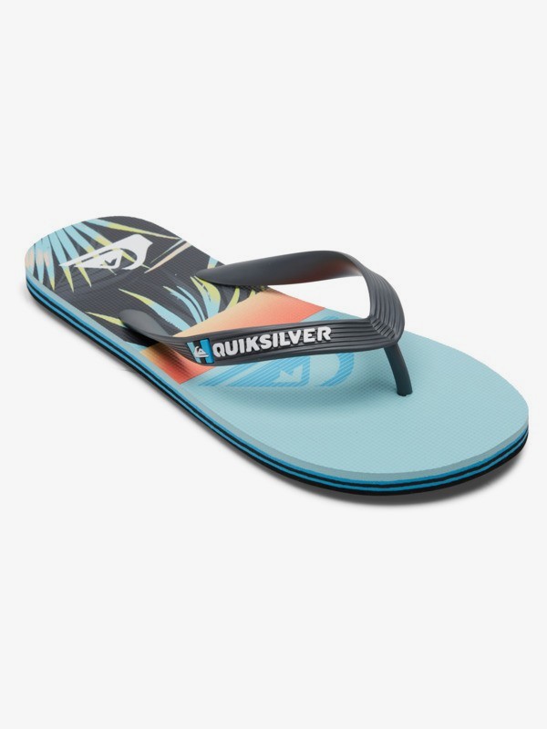 Molokai Panel - Flip-Flops for Men  AQYL101263
