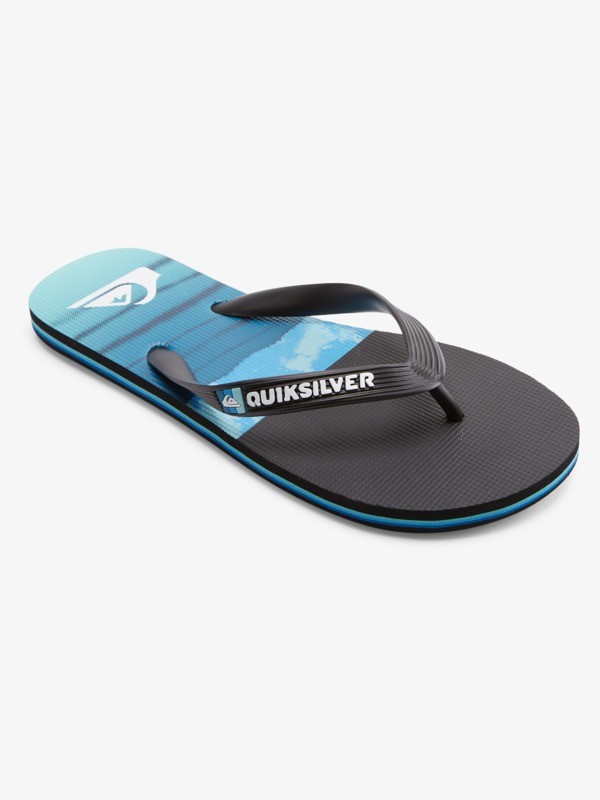 Molokai Panel - Flip-Flops for Men  AQYL101263