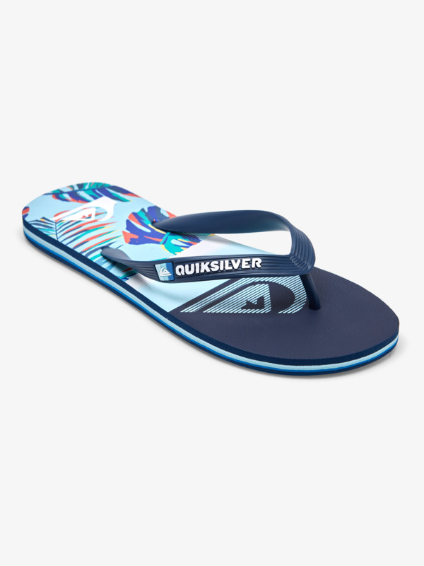 Molokai Panel - Flip-Flops for Men  AQYL101263