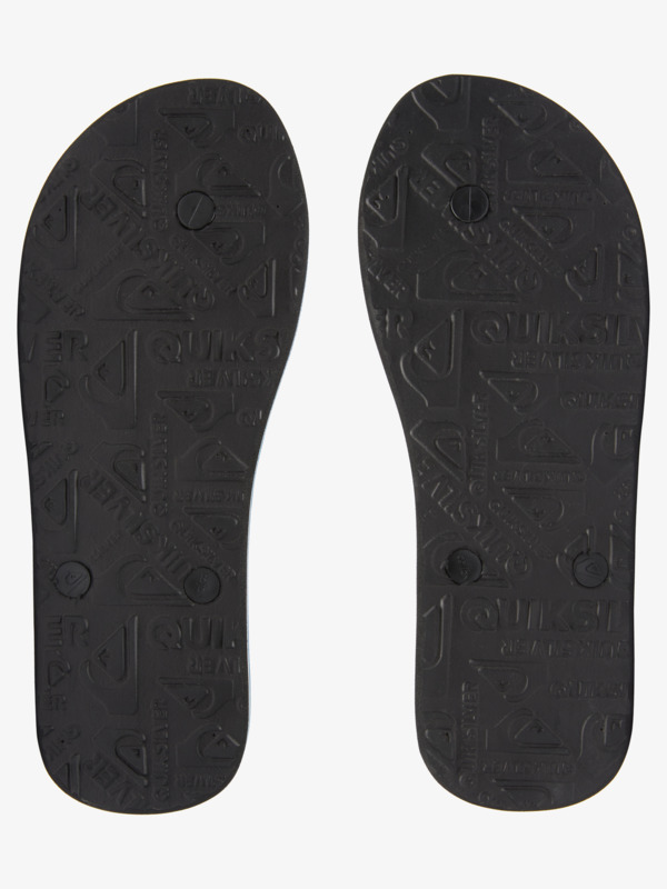 Molokai Panel - Flip-Flops for Men  AQYL101263