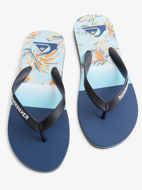 Molokai Panel - Flip-Flops for Men  AQYL101263