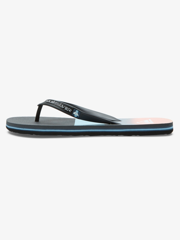 Molokai Panel - Flip-Flops for Men  AQYL101263