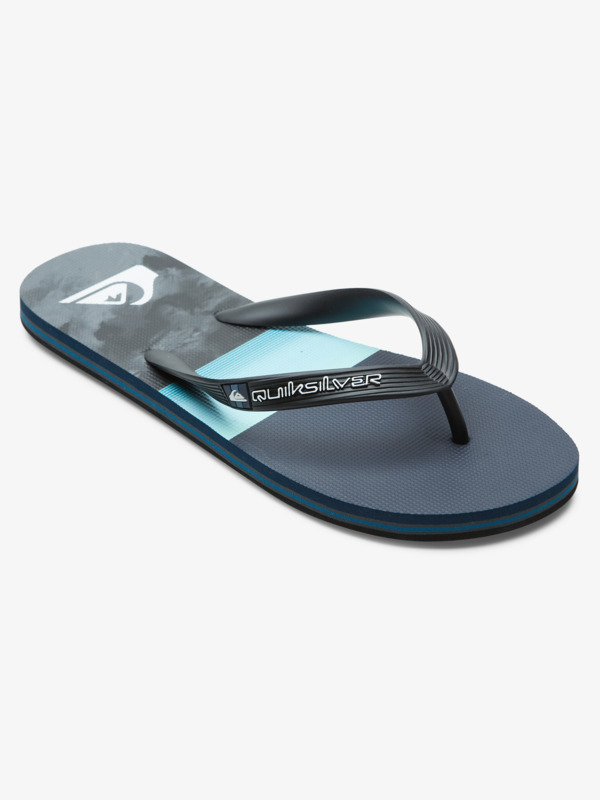 Molokai Panel - Flip-Flops for Men  AQYL101263