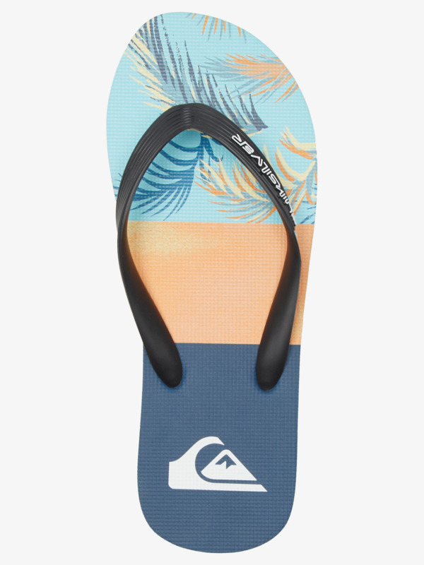 Molokai Panel - Flip-Flops for Men  AQYL101263