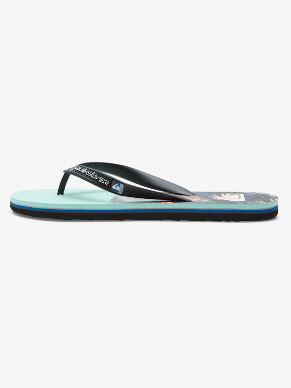 Molokai Panel - Flip-Flops for Men  AQYL101263
