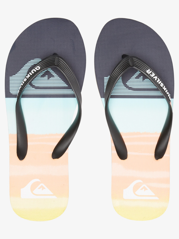 Molokai Panel - Flip-Flops for Men  AQYL101263