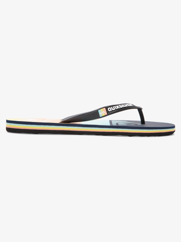 Molokai Panel - Flip-Flops for Men  AQYL101263