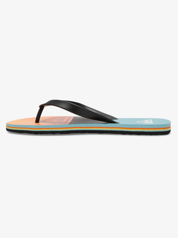 Molokai Panel - Flip-Flops for Men  AQYL101263