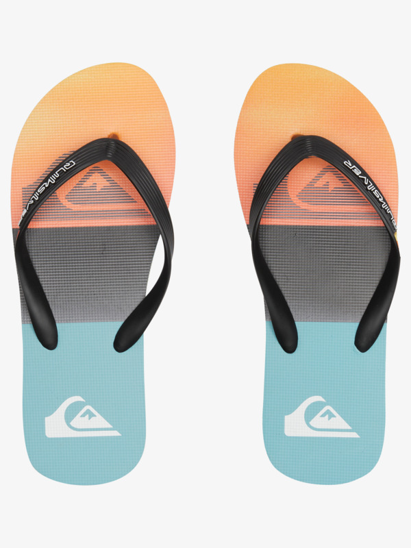 Molokai Panel - Flip-Flops for Men  AQYL101263