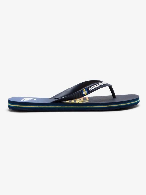 Molokai Art Gregg Kaplan - Flip-Flops for Men  AQYL101264