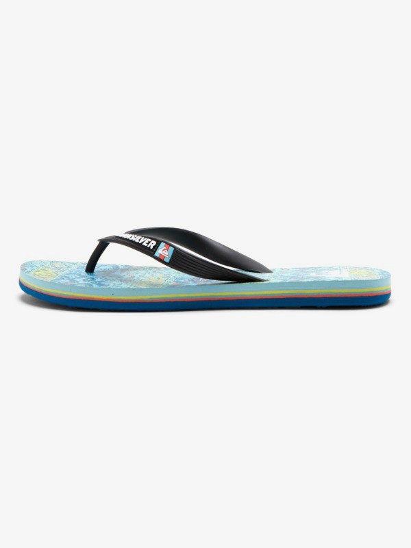 Molokai Art Gregg Kaplan - Flip-Flops for Men  AQYL101264