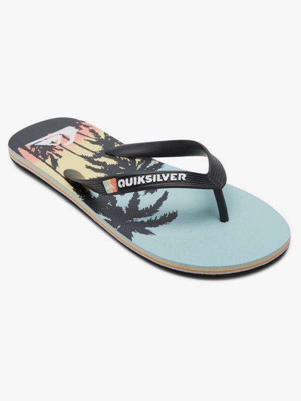 Molokai Art Gregg Kaplan - Flip-Flops for Men  AQYL101264