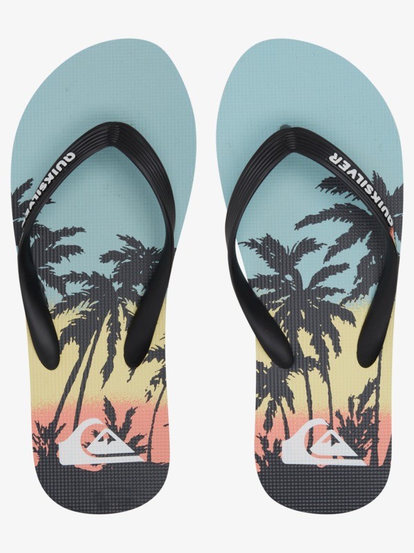 Molokai Art Gregg Kaplan - Flip-Flops for Men  AQYL101264