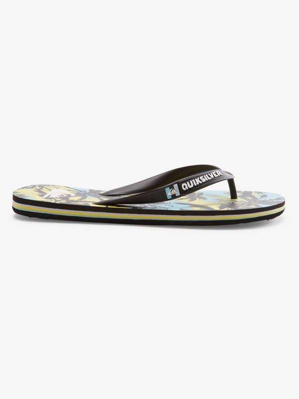 Molokai Art Gregg Kaplan - Flip-Flops for Men  AQYL101264