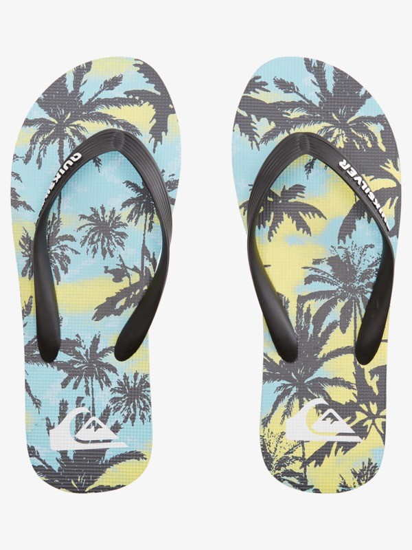 Molokai Art Gregg Kaplan - Flip-Flops for Men  AQYL101264