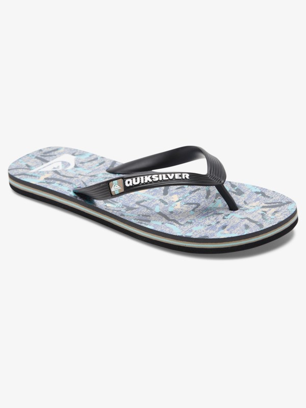 Molokai Art Gregg Kaplan - Flip-Flops for Men  AQYL101264
