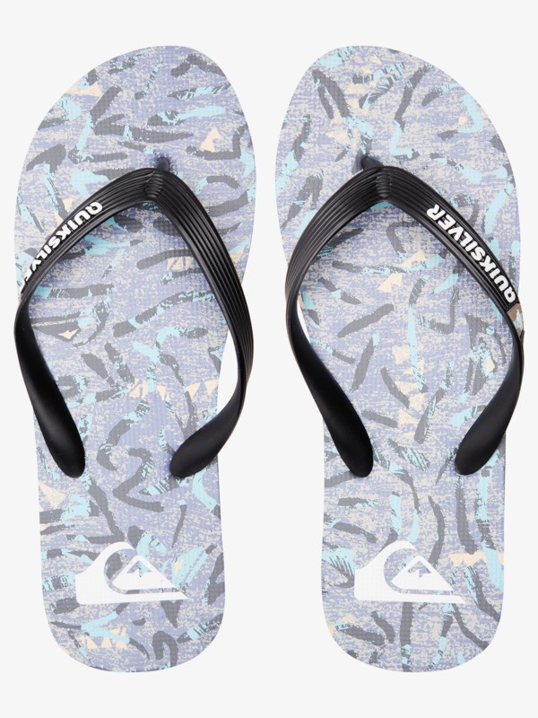 Molokai Art Gregg Kaplan - Flip-Flops for Men  AQYL101264
