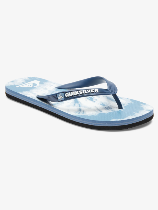 Molokai Art Gregg Kaplan - Flip-Flops for Men  AQYL101264